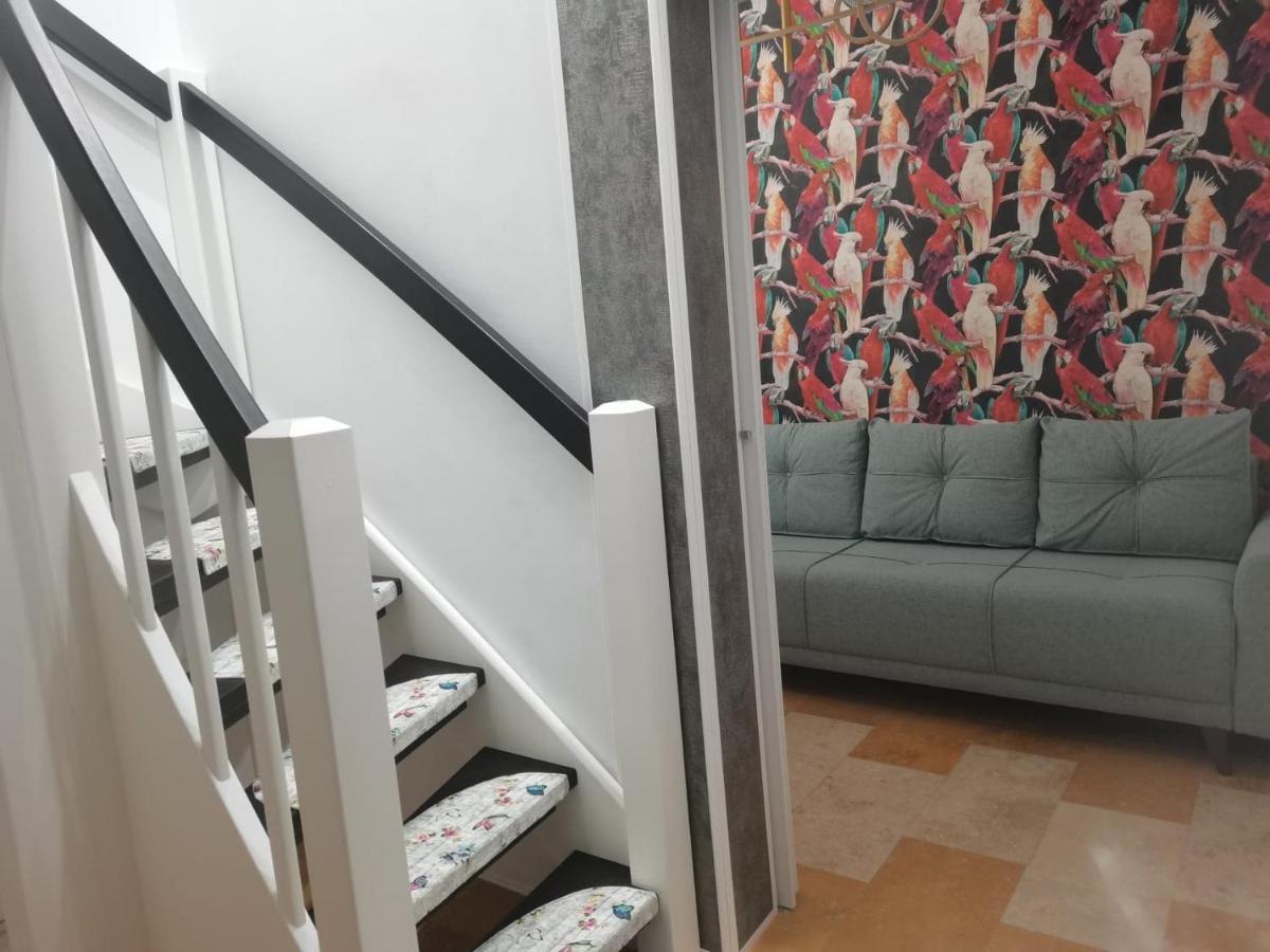 Cezari Aparthotel براشوف المظهر الخارجي الصورة